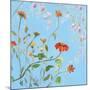 Wild Flowers on Cerulean IV-Sandra Iafrate-Mounted Art Print