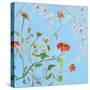 Wild Flowers on Cerulean IV-Sandra Iafrate-Stretched Canvas