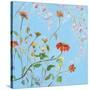 Wild Flowers on Cerulean IV-Sandra Iafrate-Stretched Canvas