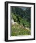 Wild Flowers on the Sandia Crest, Near Albuquerque, New Mexico, USA-Westwater Nedra-Framed Photographic Print