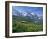 Wild Flowers on the Slopes Beside the Jungfrau Railway with the Jungfrau Beyond, Switzerland-Hans Peter Merten-Framed Photographic Print