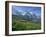 Wild Flowers on the Slopes Beside the Jungfrau Railway with the Jungfrau Beyond, Switzerland-Hans Peter Merten-Framed Photographic Print