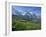 Wild Flowers on the Slopes Beside the Jungfrau Railway with the Jungfrau Beyond, Switzerland-Hans Peter Merten-Framed Photographic Print