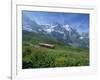 Wild Flowers on the Slopes Beside the Jungfrau Railway with the Jungfrau Beyond, Switzerland-Hans Peter Merten-Framed Photographic Print