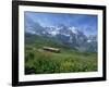 Wild Flowers on the Slopes Beside the Jungfrau Railway with the Jungfrau Beyond, Switzerland-Hans Peter Merten-Framed Photographic Print