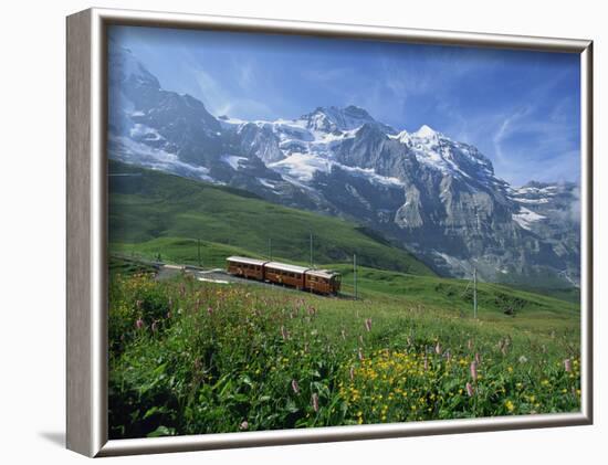 Wild Flowers on the Slopes Beside the Jungfrau Railway with the Jungfrau Beyond, Switzerland-Hans Peter Merten-Framed Photographic Print