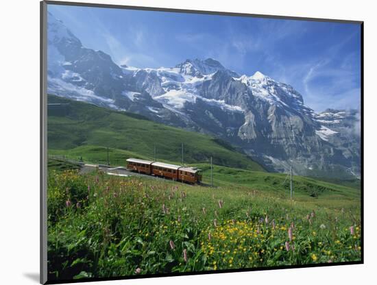 Wild Flowers on the Slopes Beside the Jungfrau Railway with the Jungfrau Beyond, Switzerland-Hans Peter Merten-Mounted Photographic Print