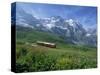 Wild Flowers on the Slopes Beside the Jungfrau Railway with the Jungfrau Beyond, Switzerland-Hans Peter Merten-Stretched Canvas