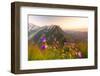 Wild flowers on top of Schafler with the rocky peak Santis in the background, Appenzell Innerrhoden-Roberto Moiola-Framed Photographic Print