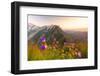 Wild flowers on top of Schafler with the rocky peak Santis in the background, Appenzell Innerrhoden-Roberto Moiola-Framed Photographic Print