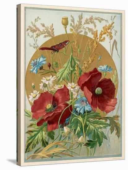 Wild Flowers: Poppies, Daisies and Cornflowers-null-Stretched Canvas