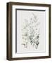 Wild Flowers Watercolor-Lana Kristiansen-Framed Art Print