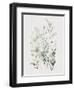 Wild Flowers Watercolor-Lana Kristiansen-Framed Art Print