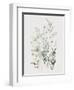 Wild Flowers Watercolor-Lana Kristiansen-Framed Art Print