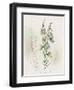 Wild Flowers Watercolor-Lana Kristiansen-Framed Art Print