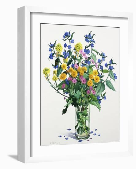 Wild Flowers with Alkanet, 2021 (w/c on paper)-Christopher Ryland-Framed Giclee Print