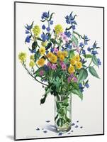 Wild Flowers with Alkanet, 2021 (w/c on paper)-Christopher Ryland-Mounted Giclee Print