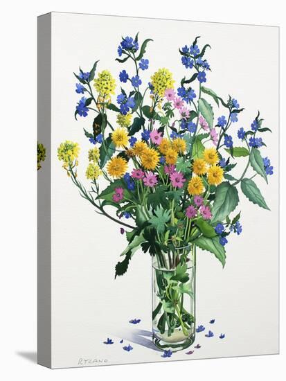 Wild Flowers with Alkanet, 2021 (w/c on paper)-Christopher Ryland-Stretched Canvas