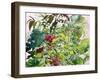 Wild Flowers with Comfrey and Campion-Christopher Ryland-Framed Giclee Print