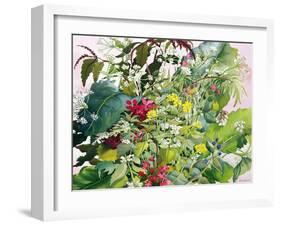 Wild Flowers with Comfrey and Campion-Christopher Ryland-Framed Giclee Print