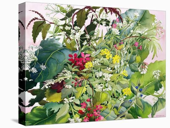 Wild Flowers with Comfrey and Campion-Christopher Ryland-Stretched Canvas