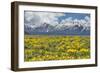Wild Flowers with Mountains-Galloimages Online-Framed Photographic Print