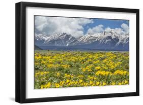 Wild Flowers with Mountains-Galloimages Online-Framed Photographic Print