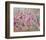 Wild flowers-Claire Westwood-Framed Art Print