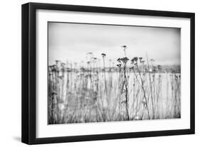 Wild Flowers-Sharon Wish-Framed Photographic Print