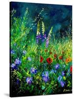 Wild flowers-Pol Ledent-Stretched Canvas