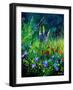 Wild flowers-Pol Ledent-Framed Art Print