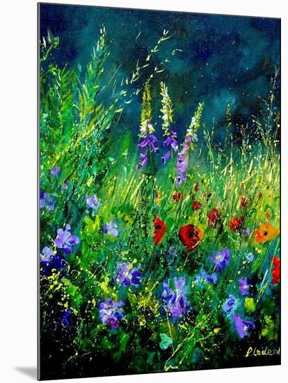 Wild flowers-Pol Ledent-Mounted Art Print