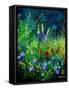 Wild flowers-Pol Ledent-Framed Stretched Canvas