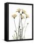 Wild Flowers-Albert Koetsier-Framed Stretched Canvas