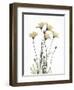 Wild Flowers-Albert Koetsier-Framed Art Print