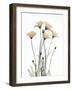 Wild Flowers-Albert Koetsier-Framed Art Print