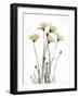 Wild Flowers-Albert Koetsier-Framed Art Print