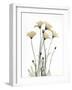 Wild Flowers-Albert Koetsier-Framed Art Print