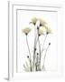 Wild Flowers-Albert Koetsier-Framed Art Print