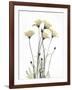 Wild Flowers-Albert Koetsier-Framed Art Print