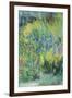 Wild Flowers-Sophia Elliot-Framed Giclee Print