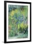 Wild Flowers-Sophia Elliot-Framed Giclee Print