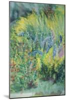 Wild Flowers-Sophia Elliot-Mounted Giclee Print