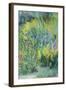 Wild Flowers-Sophia Elliot-Framed Giclee Print