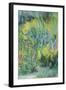 Wild Flowers-Sophia Elliot-Framed Giclee Print