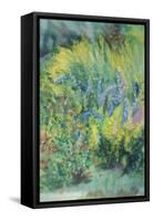 Wild Flowers-Sophia Elliot-Framed Stretched Canvas