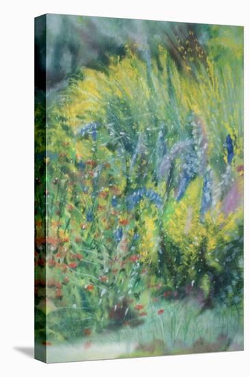 Wild Flowers-Sophia Elliot-Stretched Canvas