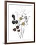 Wild Foliage - Homely-Collezione Botanica-Framed Giclee Print