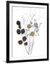 Wild Foliage - Homely-Collezione Botanica-Framed Giclee Print