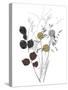 Wild Foliage - Homely-Collezione Botanica-Stretched Canvas